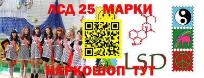 Альфа ПВП Канаш