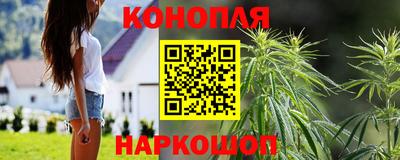 Альфа ПВП Канаш