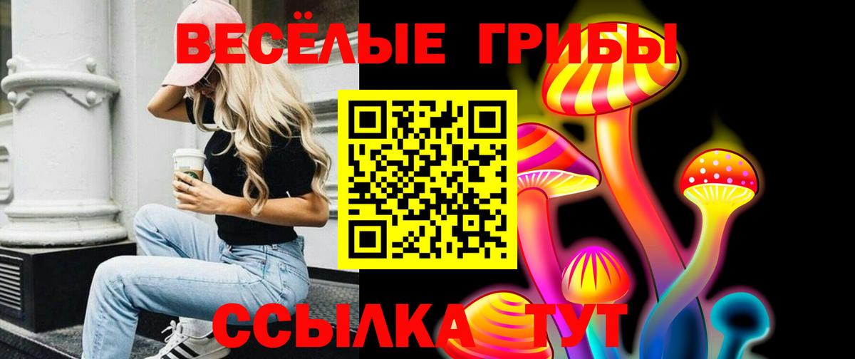 Карталы  Псилоцибиновые грибы Psilocybe  Вход с VPN 